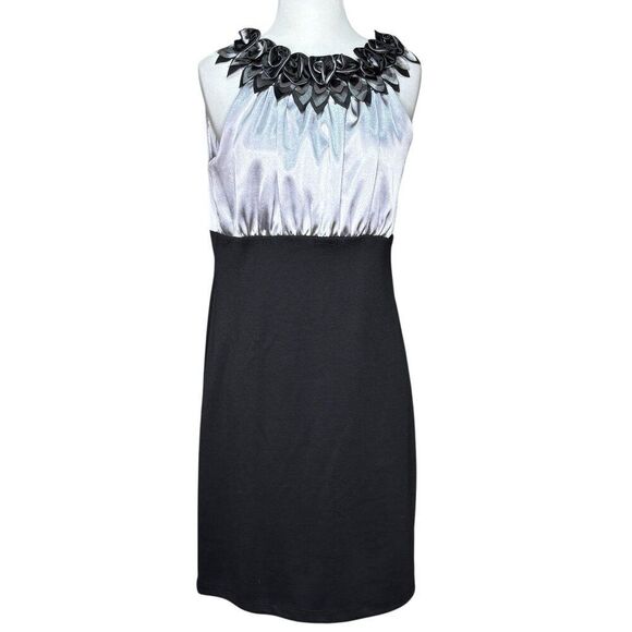 Tiana B. Dresses & Skirts - Tiana B. Satin Dress Silver Black Size 10